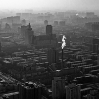 Grained City