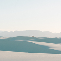 Desert Riders