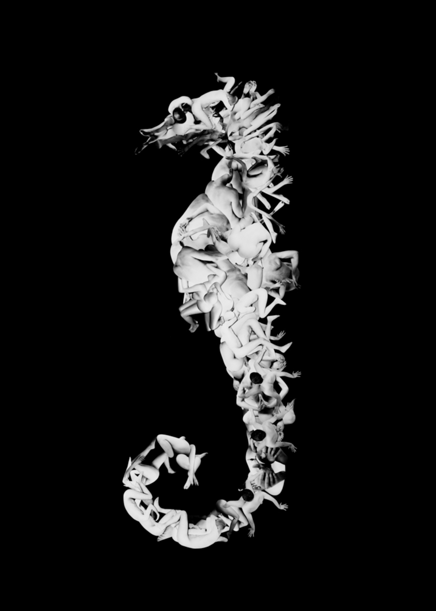Homeostasis - Amorphea -