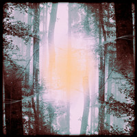 Spectral Fields