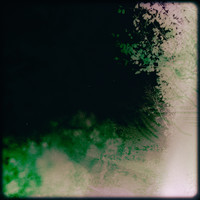 Spectral Fields