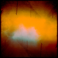 Spectral Fields