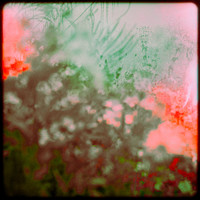 Spectral Fields