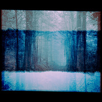 Spectral Fields