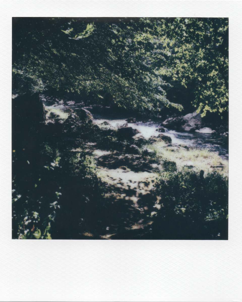 Memories from a Quite Place