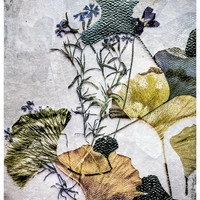 Ginkgo!