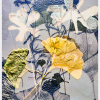 Ginkgo!