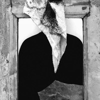Portrait of a Poet