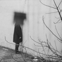 Portrait of a Poet