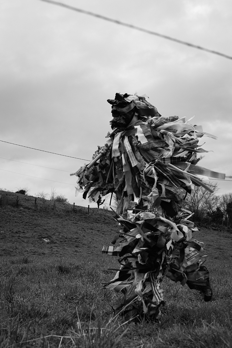 Hogaño: Traditions in Contemporary Spain