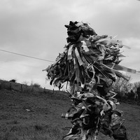 Hogaño: Traditions in Contemporary Spain