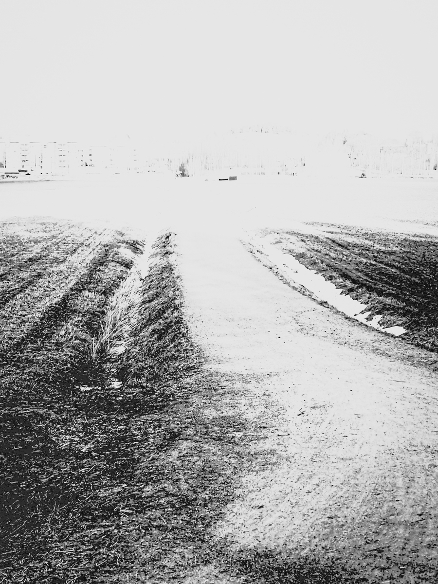 Imprint