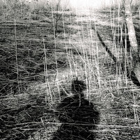 Imprint