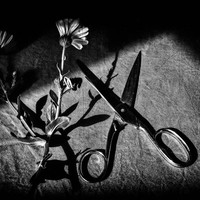 Connection - Disconnection