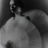 La Danse des Lumières