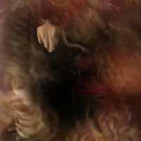 The Age of Flowers