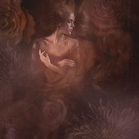 The Age of Flowers