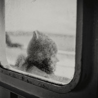 In the incessant breath of the world 