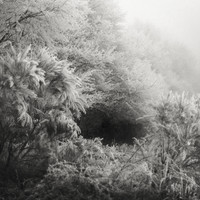 In the incessant breath of the world 