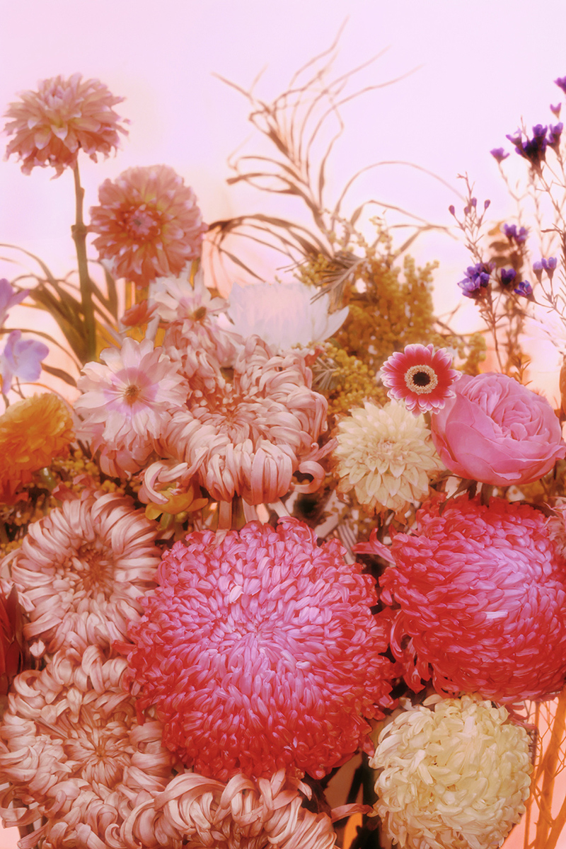 The flowers from another world