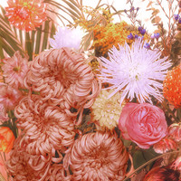 The flowers from another world