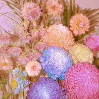 The flowers from another world