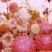 The flowers from another world