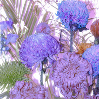 The flowers from another world