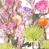 The flowers from another world