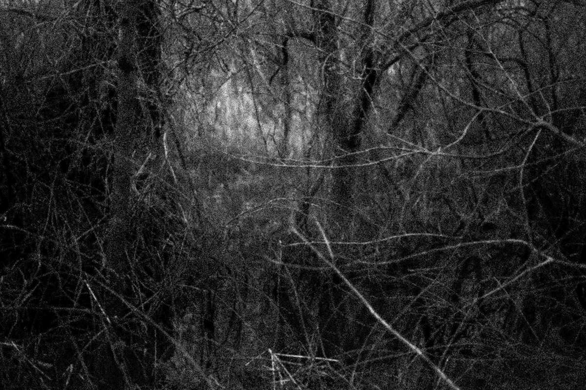 Serie - Echo of Origin by Stefan Tilburgs