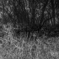 Serie - Echo of Origin by Stefan Tilburgs