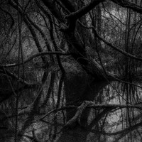 Serie - Echo of Origin by Stefan Tilburgs