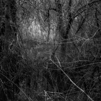 Serie - Echo of Origin by Stefan Tilburgs