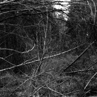 Serie - Echo of Origin by Stefan Tilburgs