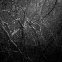 Serie - Echo of Origin by Stefan Tilburgs