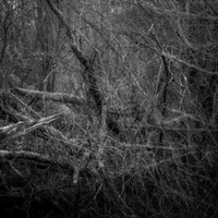 Serie - Echo of Origin by Stefan Tilburgs
