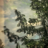 Silent Symphony