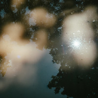 Silent Symphony