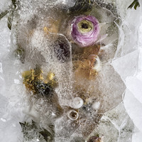 Frozen 