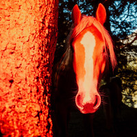 Mesmerizing Glow