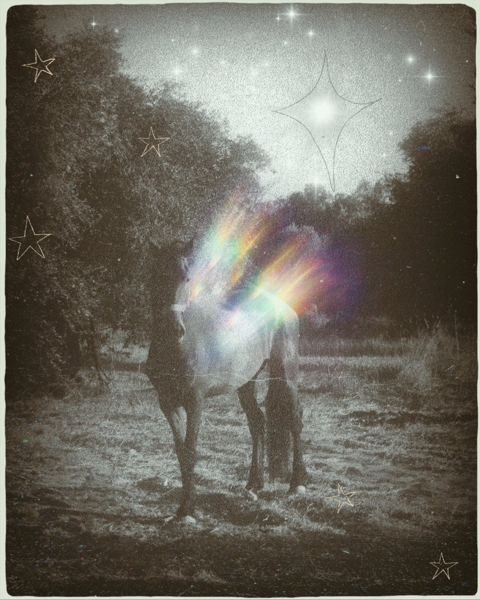 Rainbow in the Dark