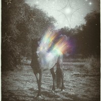 Rainbow in the Dark