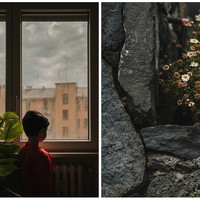 Human landscape