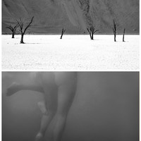 Human landscape
