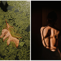 Human landscape