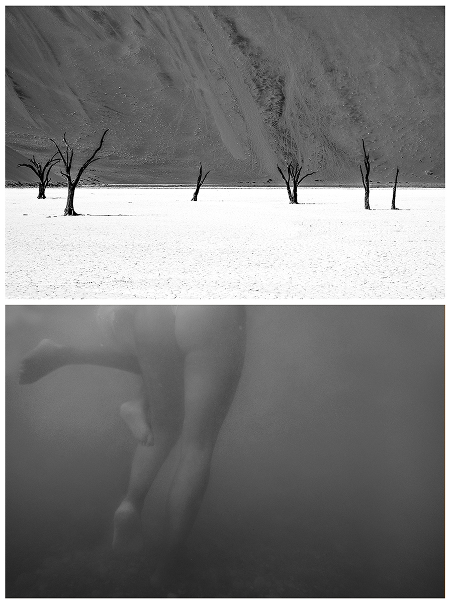 Human landscape