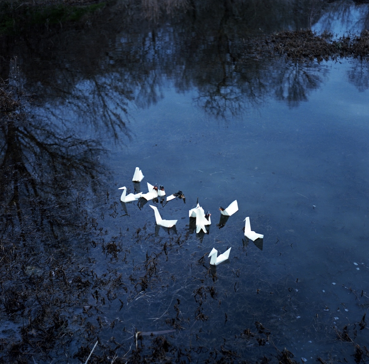 I Folded My Secrets Like Paper Birds