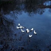 I Folded My Secrets Like Paper Birds