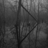 study of trees (eerie)