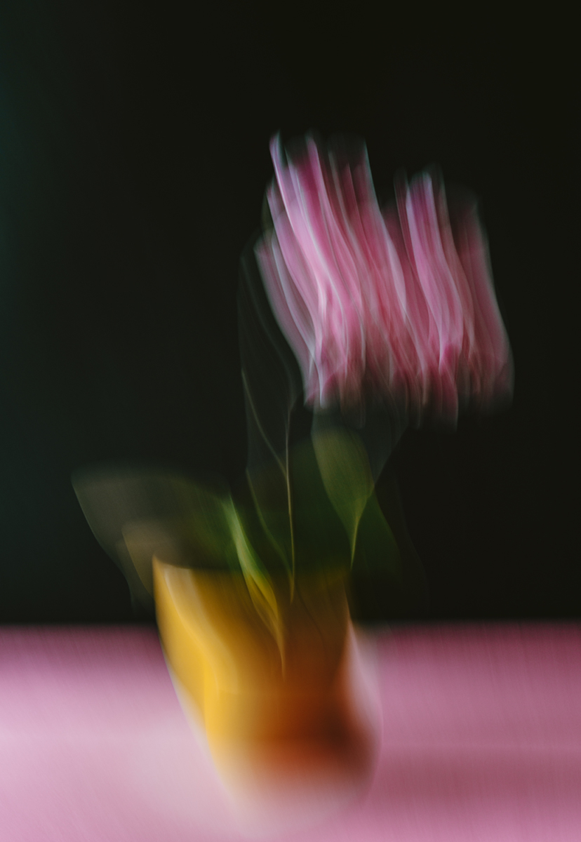Painted by Motion
